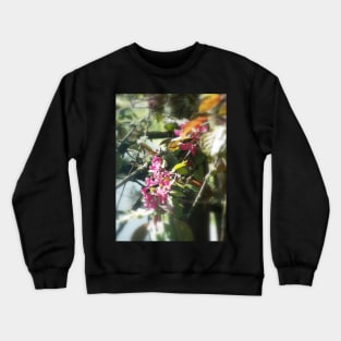 red Malus 'Radiant' crab apple blossoms #12 Crewneck Sweatshirt